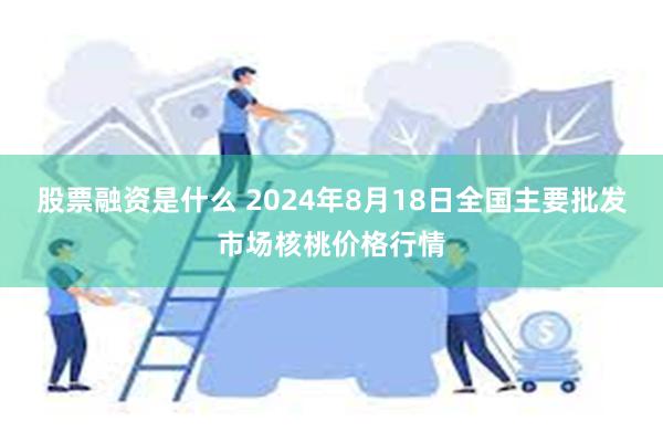 股票融资是什么 2024年8月18日全国主要批发市场核桃价格行情