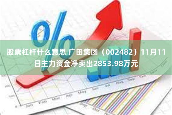 股票杠杆什么意思 广田集团（002482）11月11日主力资金净卖出2853.98万元