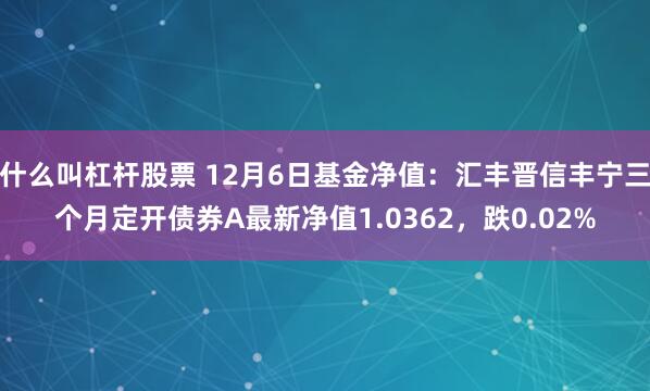 什么叫杠杆股票 12月6日基金净值：汇丰晋信丰宁三个月定开债券A最新净值1.0362，跌0.02%