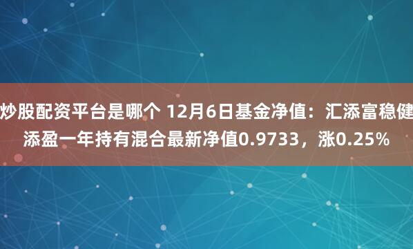 炒股配资平台是哪个 12月6日基金净值：汇添富稳健添盈一年持有混合最新净值0.9733，涨0.25%