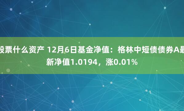 股票什么资产 12月6日基金净值：格林中短债债券A最新净值1.0194，涨0.01%