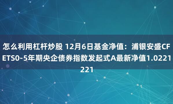 怎么利用杠杆炒股 12月6日基金净值：浦银安盛CFETS0-5年期央企债券指数发起式A最新净值1.0221