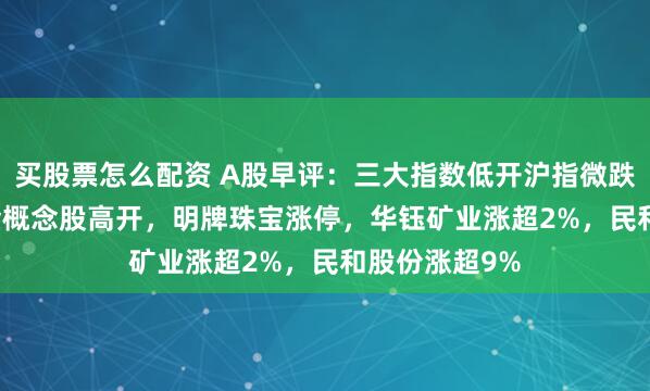 买股票怎么配资 A股早评：三大指数低开沪指微跌0.02%，黄金概念股高开，明牌珠宝涨停，华钰矿业涨超2%，民和股份涨超9%